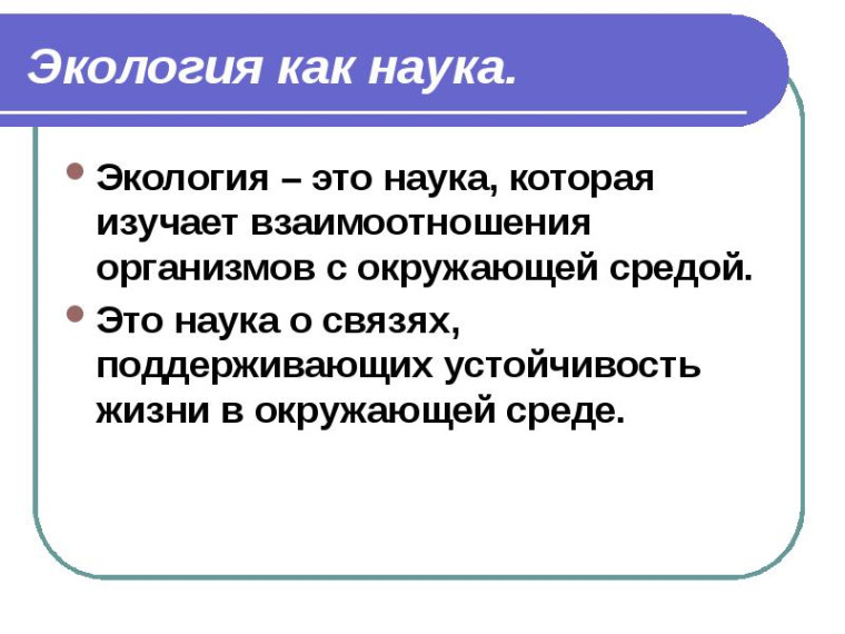 В рамках декады экологии и к 80-летию Великой Победы в Великой Отечественной войне активисты движения Первых провели субботник в парке и на месте строящегося памятника участникам ВОВ, односельчанам и участникам СВО..
